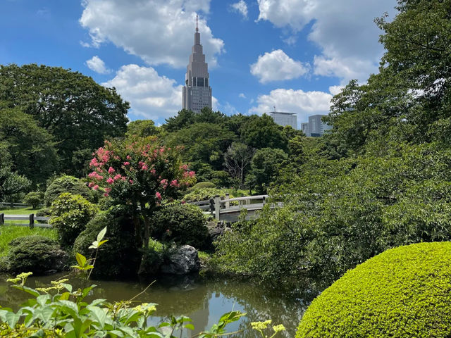 【東京】新宿御苑：櫻花季節必去景點🏖️，適合夏天遊玩🔥🔥