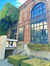 【東京】表參道：品牌盛宴、建築美學的中心🏖️，適合步行探索🔥🚶‍➡️