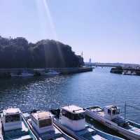 【🇯🇵日間賀島】タコ壺だらけの夏の離島旅🐙