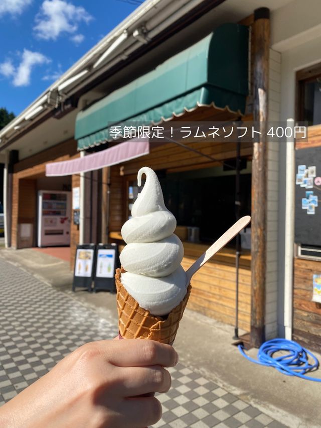 【大分/別府】遊び方いろいろ！別府のオアシス！