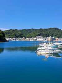 【高知県土佐清水市：足摺黒潮市場】新鮮な鰹のタタキと絶品宗田節のっけ丼!!
