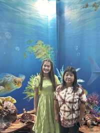 พาแม่เที่ยวอควาเรียม… ดูปลาตัวใหญ่ 🐋🪼✨