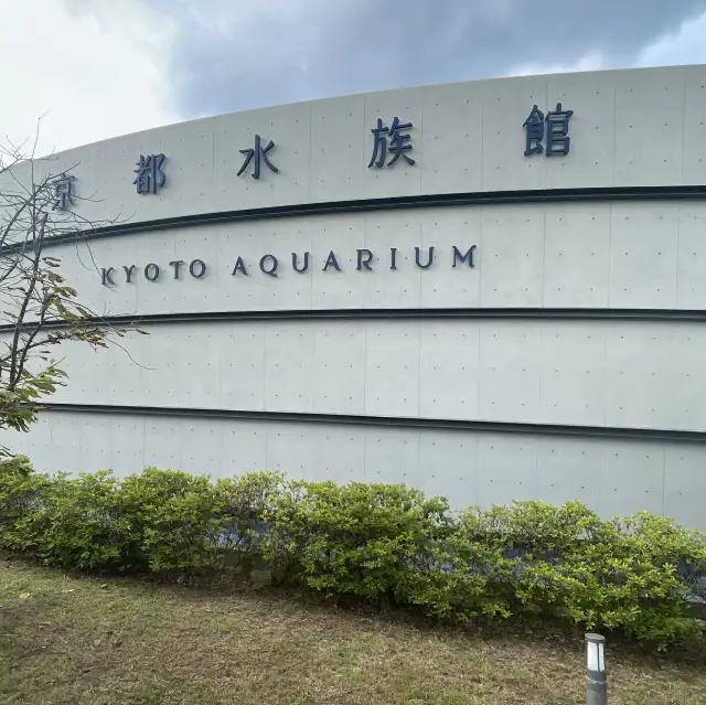 京都駅から徒歩で都会の水族館?