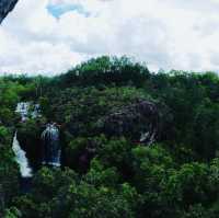 Walking through the Daintree Rainforest