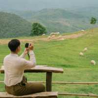 น่ารักเกินต้าน! Akha Farmville  🐑🌳
