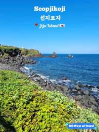 🇰🇷 Rugged Cliffs at Seopjikoji, Jeju Island 