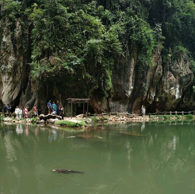 🇲🇾 Ipoh Unveiled: A Three-Day Adventure of Culture and Cuisine