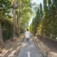 Alpacahill สรรค์ของคนรักสัตว์ที่ราชบุรี