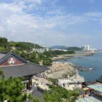 바다가 보이는 사찰 부산 해동용궁사 무료 입장가능한 관광지