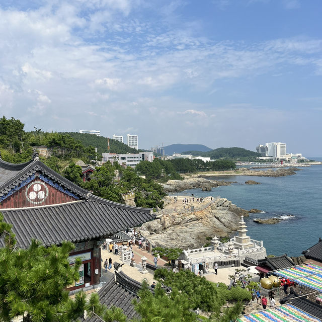 바다가 보이는 사찰 부산 해동용궁사 무료 입장가능한 관광지