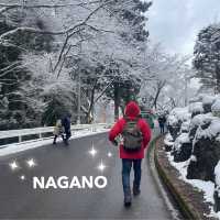 Jigokudani (Snow) Monkey Park ดูน้องลิงแช่ออนเซ็น🐵