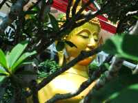 วัดพระพุทธฉาย จ.สระบุรี