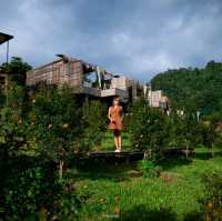 ที่พักบนแม่แตง วิวทิวเขา และสายหมอก