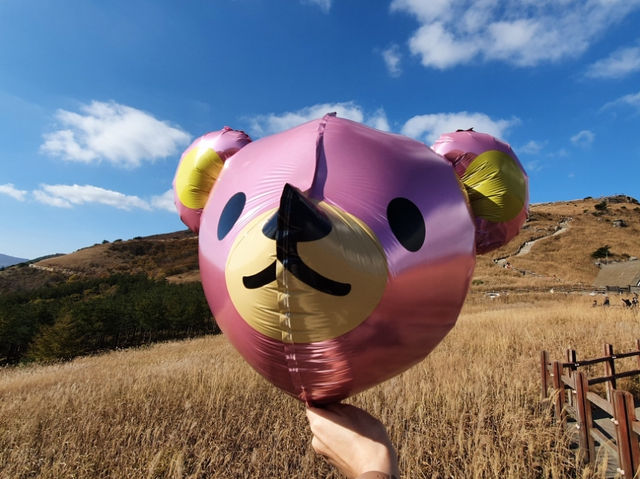 가을엔 꼭! 영남알프스 간월재 여행 하세요~