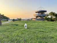 新竹湖口-空ㄟ咖啡 看夜景、夜夕陽的景觀咖啡廳|寵物友善餐廳可帶狗、有廣大的草皮