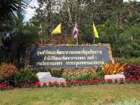 🌳ศูนย์วิจัยและพัฒนาการเกษตรที่สูงวาวี