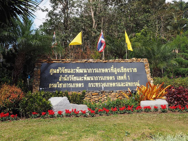 🌳ศูนย์วิจัยและพัฒนาการเกษตรที่สูงวาวี