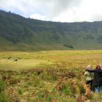 GRASSLANDS OF SAVANNAH HILLS 