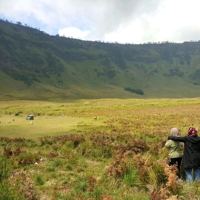 GRASSLANDS OF SAVANNAH HILLS 