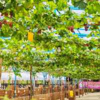 🇲🇾 Taman Anggur & Strawberry Darul Zahra: A Rooftop Retreat