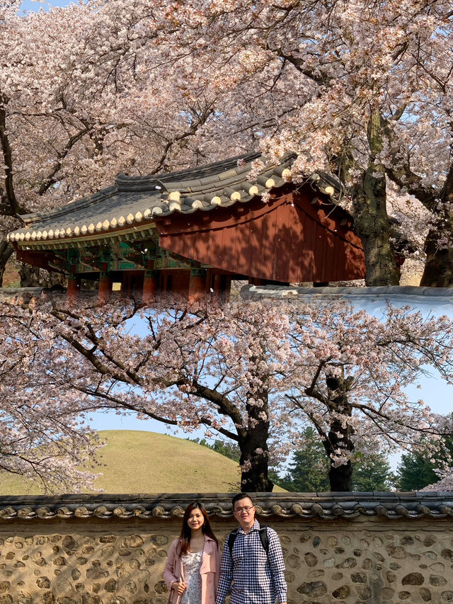A Romantic Spring Escape: The Perfect Couple's Travel Experience in Gyeongju