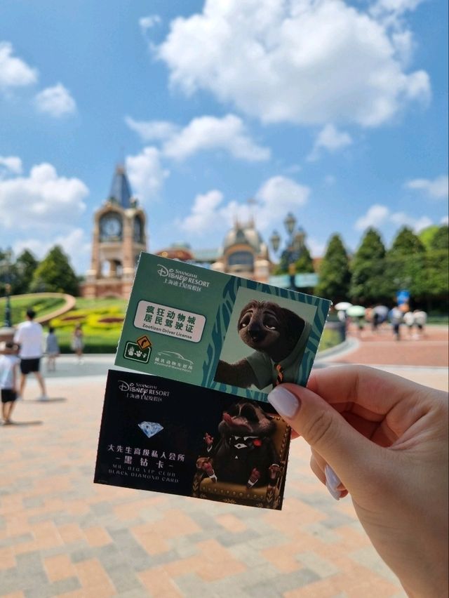 주토피아가 있는 테마파크 🎡🎢🦊🐰 <디즈니랜드 상하이>