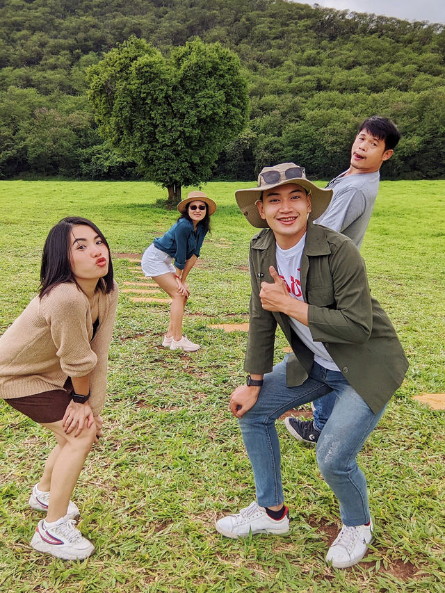 ต้นไม้รูปหัวใจ ❤️ หนึ่งเดียวในเขาใหญ่