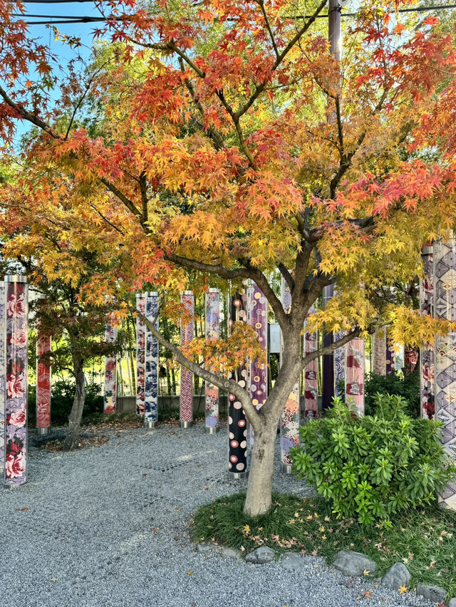 嵐山の人気スポット✨綺麗な着物の小径！