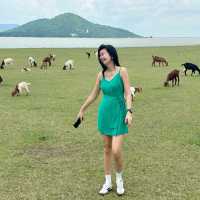 สวิตเซอร์แลนด์เมืองไทย