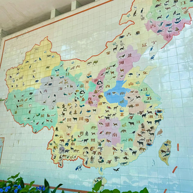 🌎廣州動物園～可愛動物世界🌎