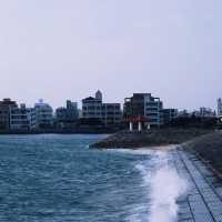 🌊江田海岸🏯美麗海景🏖️