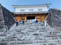 山梨観光　舞鶴城公園