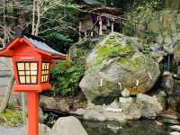 熱海観光　来宮神社
