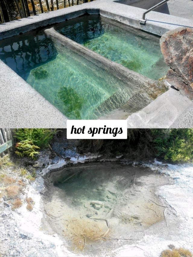 🇳🇿 Whakarewarewa Thermal Valley