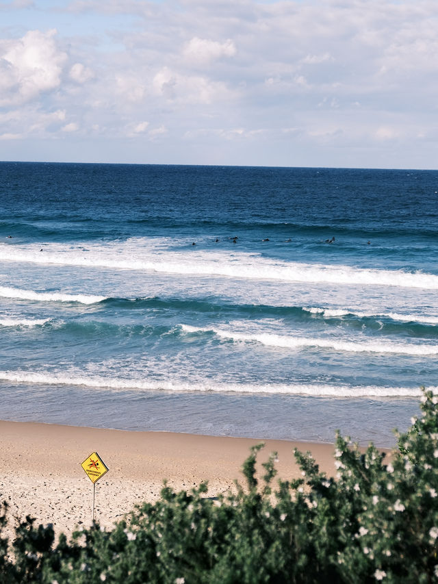 🇦🇺悉尼旅行·屬於悉尼的藍色Bondi Beach🩵