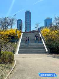 【ソウル／汝矣島】漢江公園でのんびりお散歩