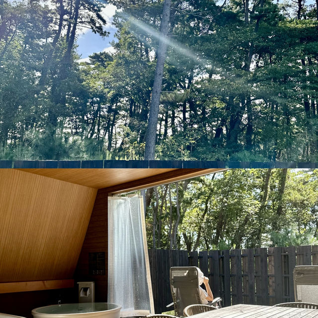 【茨城旅行】2024年4月Grand Open🎉大洗パークホテル ヴィラ