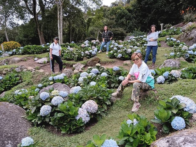 Spring Garden Kundasang, Beautiful floral and landscape