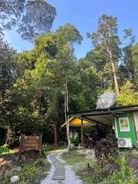 Conquering Mount Santubong: A Local Favorite Hiking Trail in Kuching