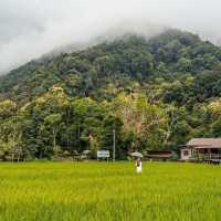 ที่พักน่าน สไตล์ญี่ปุ่นแบบชนบทวิวทุ่งนา สดชื่นมากๆ
