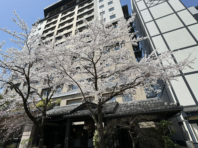 岐阜縣·高山·在高山櫻庵的溫泉體驗