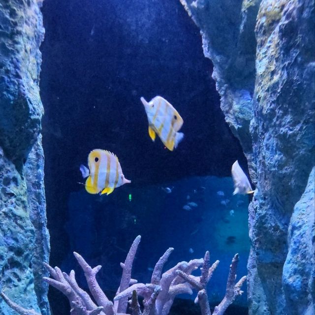 Underwater World Pattaya 