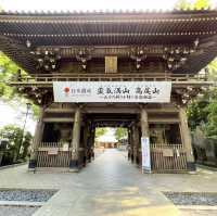 Mount Takao: Nature and serenity just an hour from Tokyo!