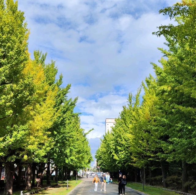 北海道之旅-札幌市區自由行-大通公園/豐平館/札幌天文臺/計時台