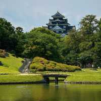 桑名城九華公園：日本城堡的浪漫🏯🌸