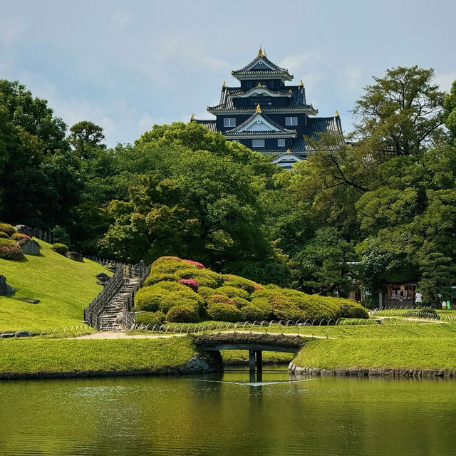 桑名城九華公園：日本城堡的浪漫🏯🌸