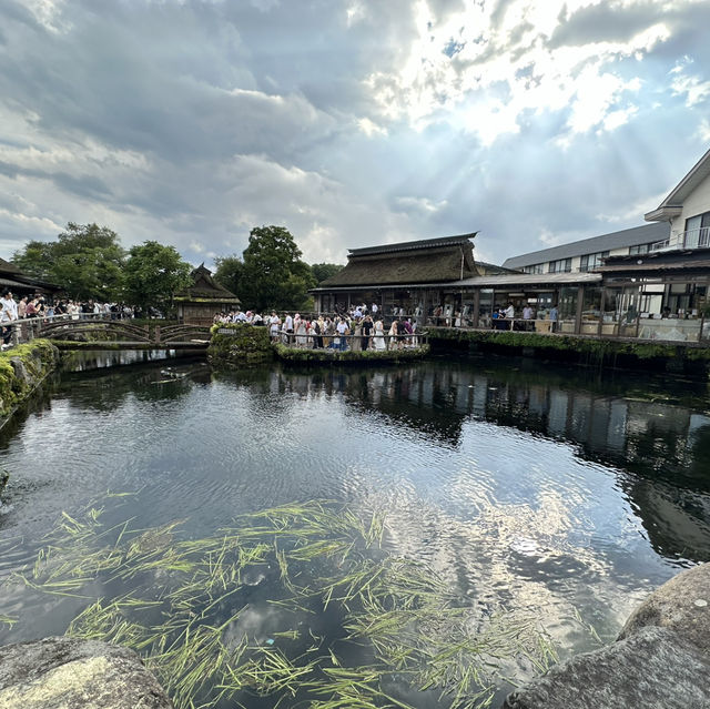 東京郊區自然美景：忍野八海
