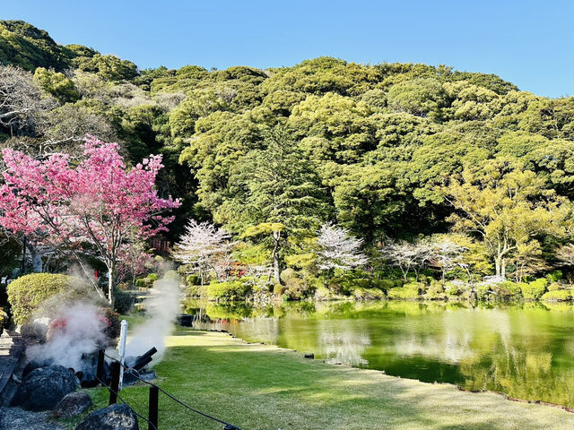 🇯🇵 九州別府 來這裡就夠了！♨️