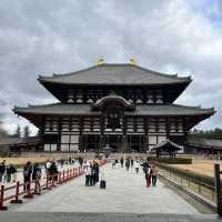 Meet the Nara Deers that bows and greets: Konnichiwa! 