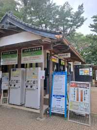 【島根旅】国宝のお城に登って松江の町並みを堪能しよう♪